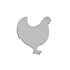 گوشت مرغ